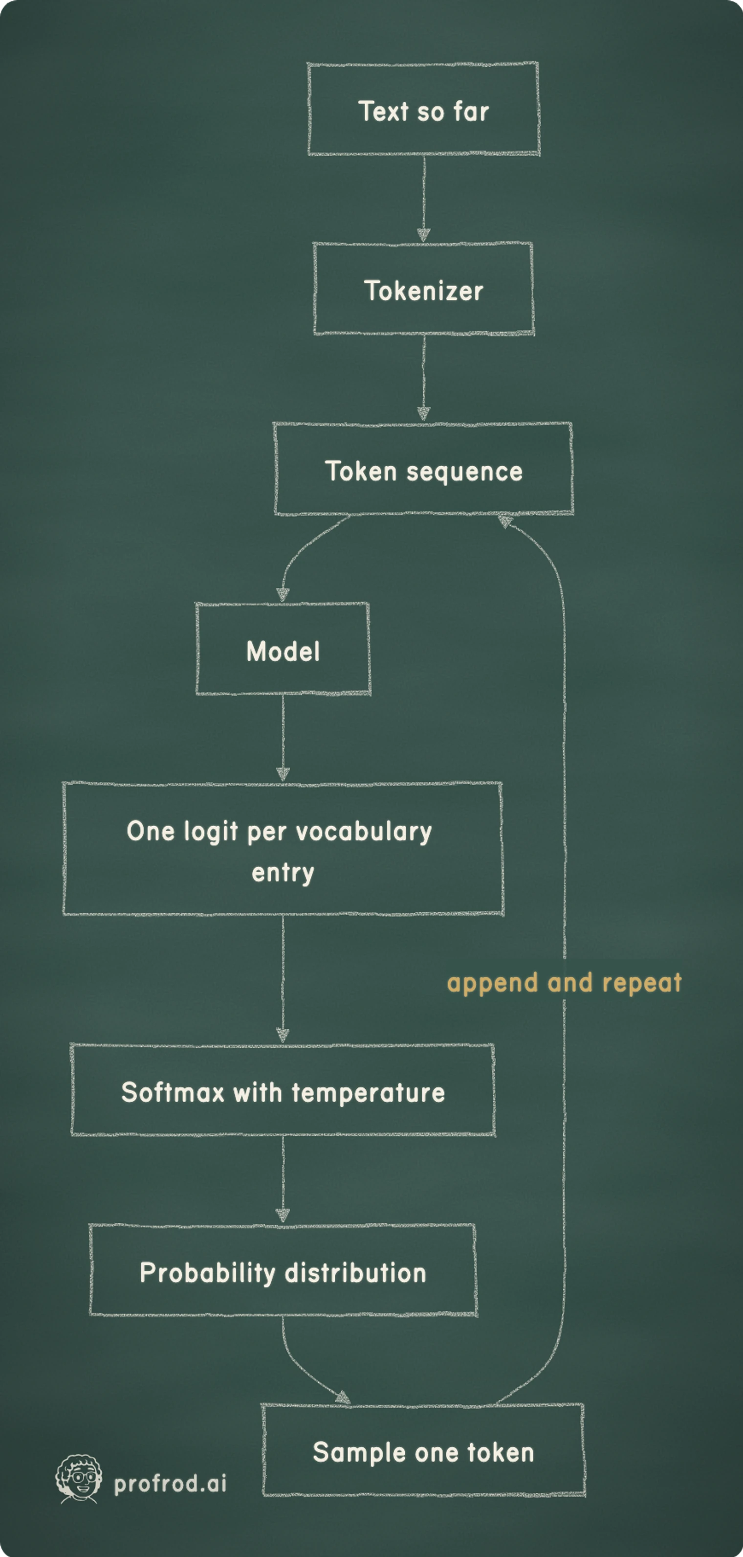 A model call is a loop: each generated token is sampled from a distribution the model computes from every token before it.. append and repeat; Text so far; Tokenizer; Token sequence; Model; One logit per vocabulary entry; Softmax with temperature; Probability distribution; Sample one token